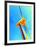 Wind Turbine-PASIEKA-Framed Photographic Print