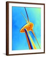 Wind Turbine-PASIEKA-Framed Photographic Print