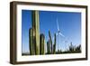 Wind Turbines and Cactus at Aruba-null-Framed Photographic Print