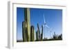 Wind Turbines and Cactus at Aruba-null-Framed Photographic Print