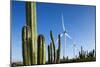 Wind Turbines and Cactus at Aruba-null-Mounted Photographic Print