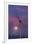 Wind Turbines and Full Moon.-Jon Hicks-Framed Photographic Print