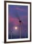 Wind Turbines and Full Moon.-Jon Hicks-Framed Photographic Print