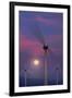 Wind Turbines and Full Moon.-Jon Hicks-Framed Photographic Print