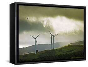 Wind Turbines and Soaring Bird of Prey, Ruahine Ranges, Manawatu, North Island, New Zealand-Smith Don-Framed Stretched Canvas