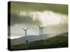 Wind Turbines and Soaring Bird of Prey, Ruahine Ranges, Manawatu, North Island, New Zealand-Smith Don-Stretched Canvas