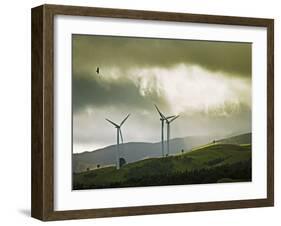 Wind Turbines and Soaring Bird of Prey, Ruahine Ranges, Manawatu, North Island, New Zealand-Smith Don-Framed Photographic Print