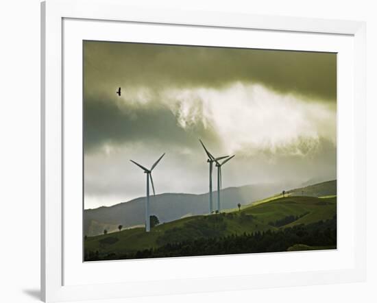 Wind Turbines and Soaring Bird of Prey, Ruahine Ranges, Manawatu, North Island, New Zealand-Smith Don-Framed Photographic Print