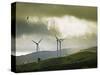 Wind Turbines and Soaring Bird of Prey, Ruahine Ranges, Manawatu, North Island, New Zealand-Smith Don-Stretched Canvas