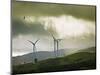 Wind Turbines and Soaring Bird of Prey, Ruahine Ranges, Manawatu, North Island, New Zealand-Smith Don-Mounted Photographic Print