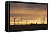 Wind Turbines at Sunset, Fehmarn, Baltic Sea, Schleswig Holstein, Germany, Europe-Markus Lange-Framed Stretched Canvas