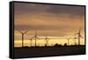 Wind Turbines at Sunset, Fehmarn, Baltic Sea, Schleswig Holstein, Germany, Europe-Markus Lange-Framed Stretched Canvas