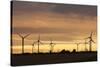 Wind Turbines at Sunset, Fehmarn, Baltic Sea, Schleswig Holstein, Germany, Europe-Markus Lange-Stretched Canvas