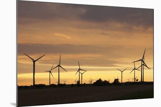 Wind Turbines at Sunset, Fehmarn, Baltic Sea, Schleswig Holstein, Germany, Europe-Markus Lange-Mounted Photographic Print