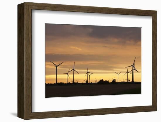 Wind Turbines at Sunset, Fehmarn, Baltic Sea, Schleswig Holstein, Germany, Europe-Markus Lange-Framed Photographic Print