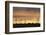 Wind Turbines at Sunset, Fehmarn, Baltic Sea, Schleswig Holstein, Germany, Europe-Markus Lange-Framed Photographic Print