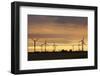 Wind Turbines at Sunset, Fehmarn, Baltic Sea, Schleswig Holstein, Germany, Europe-Markus Lange-Framed Photographic Print