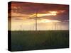 Wind Turbines at Sunset, Kavarna Wind Farm, Kavarna, Bulgaria, Europe-Dallas & John Heaton-Stretched Canvas