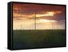 Wind Turbines at Sunset, Kavarna Wind Farm, Kavarna, Bulgaria, Europe-Dallas & John Heaton-Framed Stretched Canvas