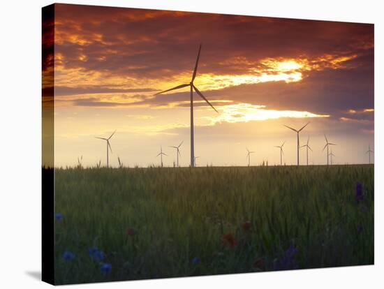 Wind Turbines at Sunset, Kavarna Wind Farm, Kavarna, Bulgaria, Europe-Dallas & John Heaton-Stretched Canvas