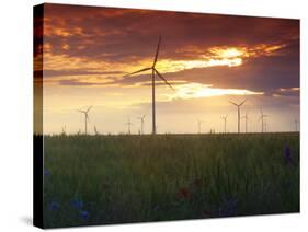Wind Turbines at Sunset, Kavarna Wind Farm, Kavarna, Bulgaria, Europe-Dallas & John Heaton-Stretched Canvas