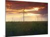 Wind Turbines at Sunset, Kavarna Wind Farm, Kavarna, Bulgaria, Europe-Dallas & John Heaton-Mounted Photographic Print