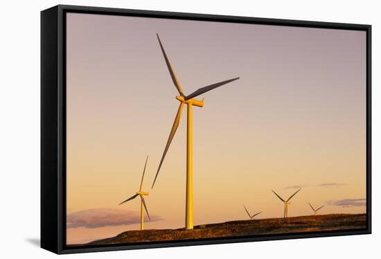 Wind turbines at sunset, Whitelee Wind Farm, East Renfrewshire, Scotland, United Kingdom, Europe-John Guidi-Framed Stretched Canvas