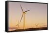 Wind turbines at sunset, Whitelee Wind Farm, East Renfrewshire, Scotland, United Kingdom, Europe-John Guidi-Framed Stretched Canvas