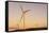 Wind turbines at sunset, Whitelee Wind Farm, East Renfrewshire, Scotland, United Kingdom, Europe-John Guidi-Framed Stretched Canvas