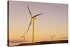 Wind turbines at sunset, Whitelee Wind Farm, East Renfrewshire, Scotland, United Kingdom, Europe-John Guidi-Stretched Canvas