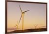 Wind turbines at sunset, Whitelee Wind Farm, East Renfrewshire, Scotland, United Kingdom, Europe-John Guidi-Framed Photographic Print