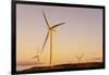 Wind turbines at sunset, Whitelee Wind Farm, East Renfrewshire, Scotland, United Kingdom, Europe-John Guidi-Framed Photographic Print