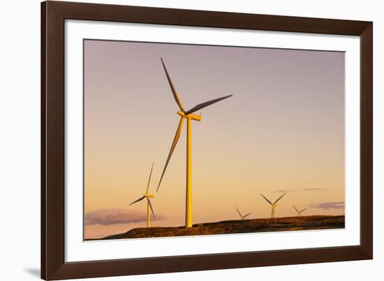 Wind turbines at sunset, Whitelee Wind Farm, East Renfrewshire, Scotland, United Kingdom, Europe-John Guidi-Framed Photographic Print