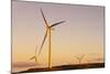 Wind turbines at sunset, Whitelee Wind Farm, East Renfrewshire, Scotland, United Kingdom, Europe-John Guidi-Mounted Photographic Print