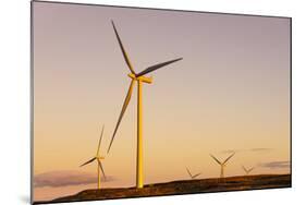 Wind turbines at sunset, Whitelee Wind Farm, East Renfrewshire, Scotland, United Kingdom, Europe-John Guidi-Mounted Photographic Print