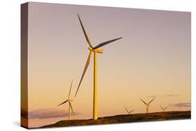 Wind turbines at sunset, Whitelee Wind Farm, East Renfrewshire, Scotland, United Kingdom, Europe-John Guidi-Stretched Canvas