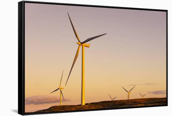 Wind turbines at sunset, Whitelee Wind Farm, East Renfrewshire, Scotland, United Kingdom, Europe-John Guidi-Framed Stretched Canvas