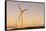 Wind turbines at sunset, Whitelee Wind Farm, East Renfrewshire, Scotland, United Kingdom, Europe-John Guidi-Framed Stretched Canvas