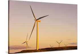 Wind turbines at sunset, Whitelee Wind Farm, East Renfrewshire, Scotland, United Kingdom, Europe-John Guidi-Stretched Canvas