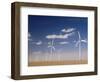 Wind Turbines for Generating Electricity, Two Buttes, Colorado, Usa, February 2006-Rolf Nussbaumer-Framed Photographic Print