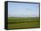 Wind Turbines in South Jutland, Denmark, Scandinavia, Europe-Yadid Levy-Framed Stretched Canvas