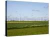 Wind Turbines in South Jutland, Denmark, Scandinavia, Europe-Yadid Levy-Stretched Canvas