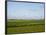 Wind Turbines in South Jutland, Denmark, Scandinavia, Europe-Yadid Levy-Framed Photographic Print