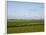 Wind Turbines in South Jutland, Denmark, Scandinavia, Europe-Yadid Levy-Framed Photographic Print