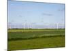 Wind Turbines in South Jutland, Denmark, Scandinavia, Europe-Yadid Levy-Mounted Photographic Print