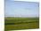 Wind Turbines in South Jutland, Denmark, Scandinavia, Europe-Yadid Levy-Mounted Photographic Print