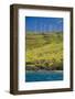 Wind Turbines, Maui, Hawaii, USA-Roddy Scheer-Framed Photographic Print