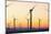 Wind Turbines near Palm Springs.-Jon Hicks-Mounted Photographic Print