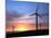 Wind Turbines on Bodmin Moor, Near Bodmin, Cornwall, England, United Kingdom, Europe-David Pickford-Mounted Photographic Print