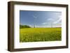 Wind Turbines, Raps, Marchfeld, Austria-Rainer Mirau-Framed Photographic Print